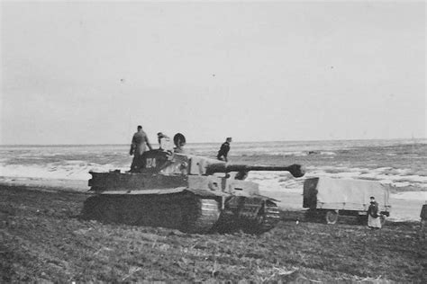 Panzerkampfwagen Vi Tiger By Ww Panzer Mg Tiger Ii Ferdinand