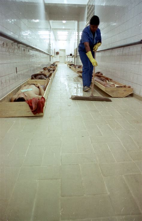 Relembre A História Do Complexo Penitenciário Do Carandiru Fotos R7