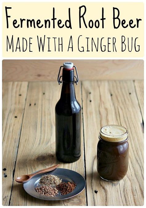 Fermented Root Beer Homemade Soda Made With A Ginger Bug Recipe