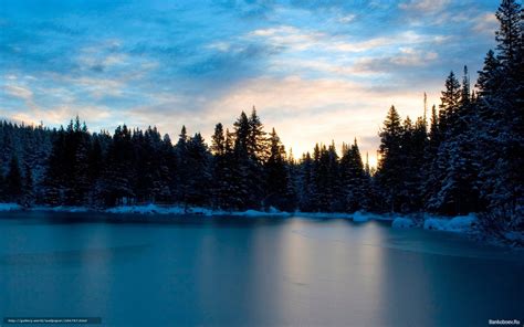 Clouds and blue skies 58. Download Hintergrund Natur, Himmel, Wald, Sonnenuntergang ...