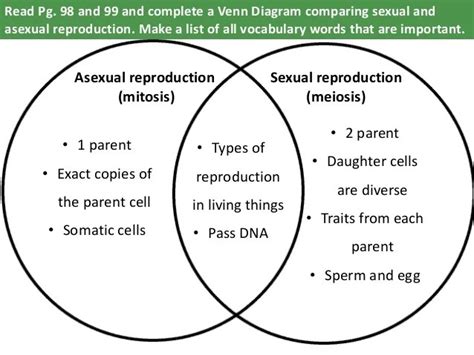 Venn Diagram Mitosis Vs Meiosis Wiring Database The Best Porn Website