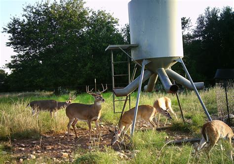 The Basics Of Using Deer Feeders Feed Bandit Podcast Deer Feeders