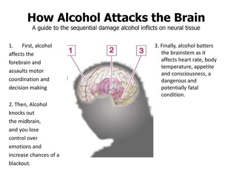 When Alcohol Attacks Everyone Is In Danger Healing Properties