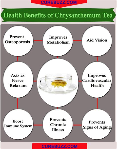 8 Health Benefits Of Chrysanthemum Tea Curebuzz