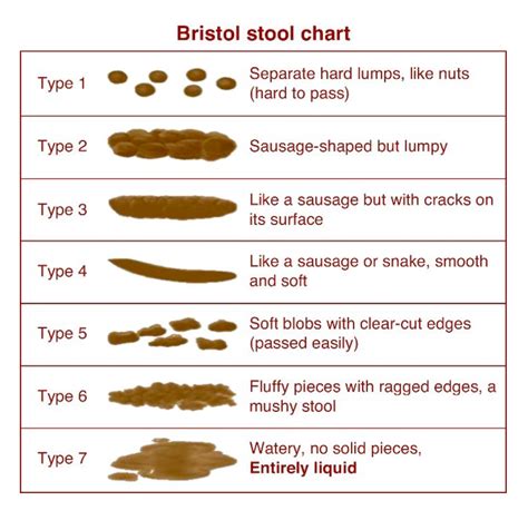 12 Free Printable Stool Color Charts Word Pdf Bristol Stool Chart Poo