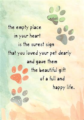We take the mystery out of sending condolence flowers by answering the 10 most common questions people have about in many european countries these are symbolic of death and are only used for sympathy and funerals. P9474 - Sincere Pet Sympathy Cards | Pet sympathy quotes ...