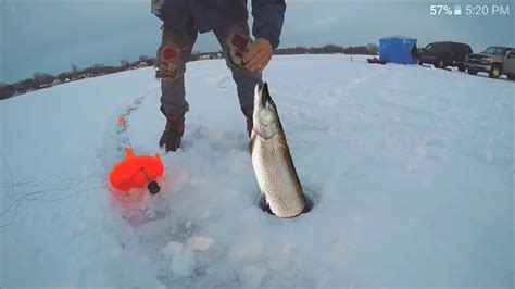 Ice Fishing Gray's Bay Lake Minnetonka Feb. 6 2016 Catching A HUGE Northern LOLOL - YouTube
