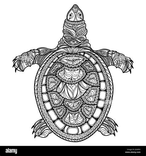 Turtle Isolated Zentangle Tribal Stylized Turtle Doodle Vector