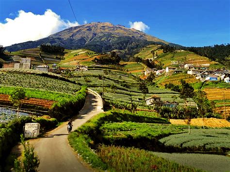 Jelajah Nepal Van Java, Menanti Sunrise dari Dusun di Kaki Sumbing