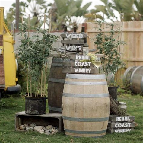 Cannabis The Next Disrupter Growing And Going Green Has Arrived Exploring Cannabis Wine