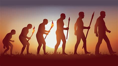 The Evolution Of Humans