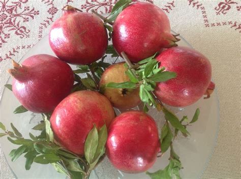 Indian Apples Freshly Picked Pomegranates Awesome Creative Food