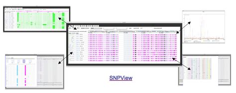 Syntview Web