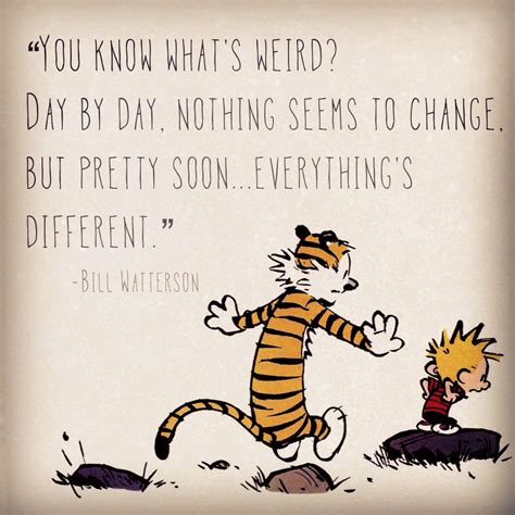 Greatest Calvin And Hobbes Quotes Quotesgram