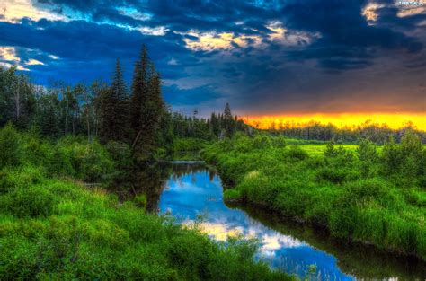 Alberta is known for its thousands of hectares of farmland in the heartland and for its clear. Rzeka, Las, Krzewy, Zachód Słońca, Alberta, Kanada