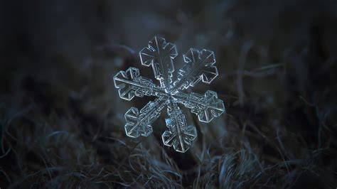 The Natural Beauty Of Snowflakes Luvthat