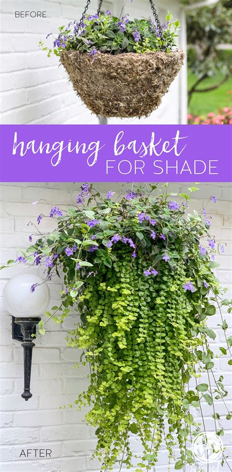 Do not let your planters dry out. DIY Hanging Basket Plant for Shade #plant #flowers # ...