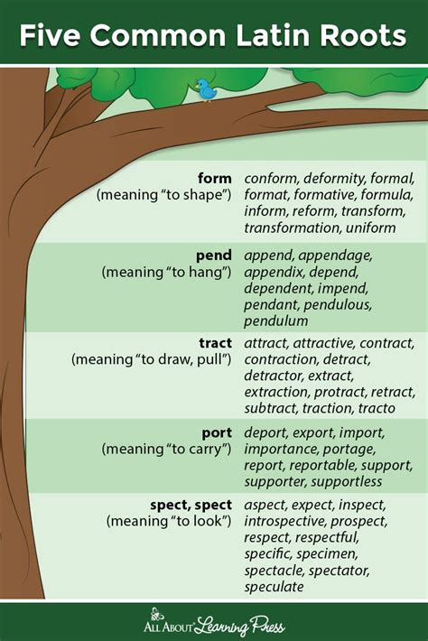 Five Common Latin Roots Plus Downloadable Word Trees And Teaching Tips