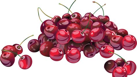 2560x1440 Cherry Berry Drawing 1440p Resolution Wallpaper Hd Vector