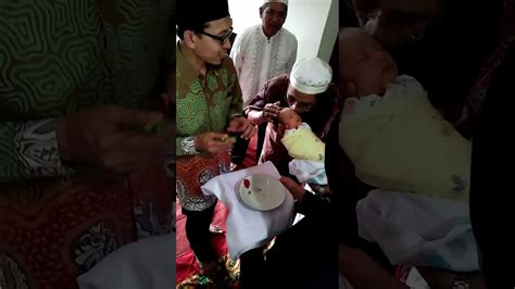 Dengan mencukur rambut bayi, pertumbuhan rambut akan terangsang dan inilah yang membuat rambut jadi semakin lebat. Konsep 32+ Cara Potong Rambut Bayi Aqiqah