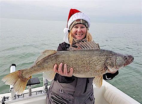 Lake Erie Walleye Booms Cause Is A Mystery But No One Is Complaining
