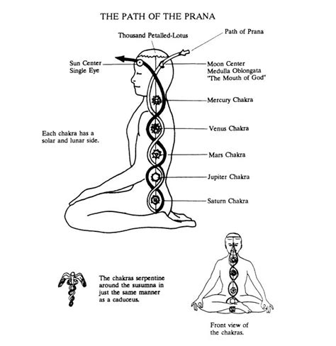 Kundalini Meditation Kriya Yoga Kundalini Awakening Pranayama