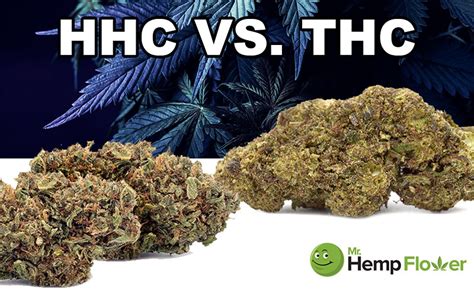 Hhc Vs Thc How Strong Is Hhc Compared Thc