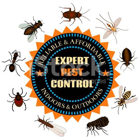 Expert Pest Control Royalty Free Stock Vector Art Bed Bug Control