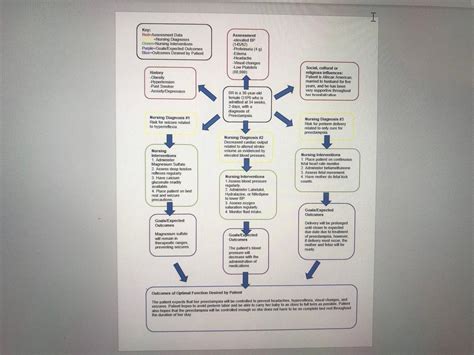 Interventions for renal vasculitis in adults. For My OB Clinical Assignment I Need Help To Make ...