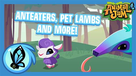 Anteaters Pet Lambs And More Animal Jam Update Youtube