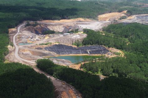 Dampak Alih Fungsi Lahan Hutan di Indonesia – Forest Management