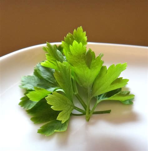 Why You Might Want To Eat The Garnish Garnish Food Garnishes Parsley
