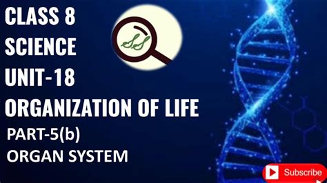 Class 8 Science Unit 18 Organization Of Life Part 5b Organ System