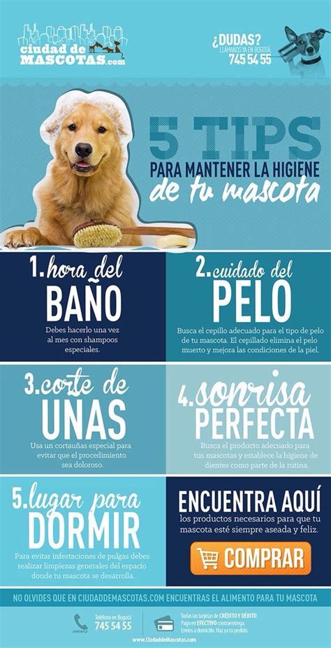 Ana Ideas Tipsrecetases 5 Tips Para Mantener