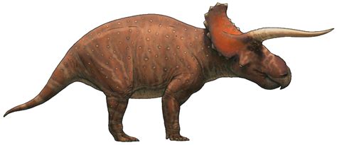 Ceratopsia Liera Speculative Evolution Wiki Fandom