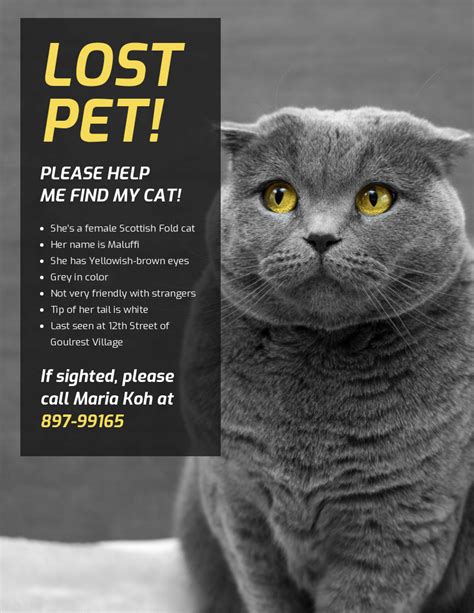 Simple Lost Cat Poster Venngage