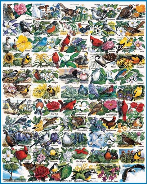 Beautiful Bird Jigsaw Puzzles For Bird Lovers