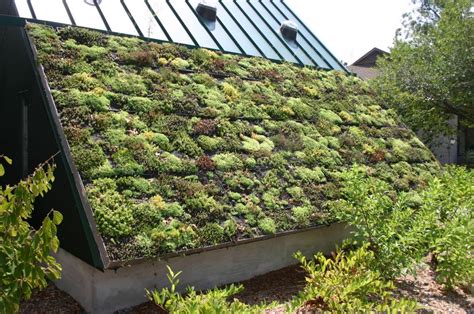 New Green Wall And Roof Policy In Sydney Sustainable Lifestyle In The