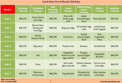 Deciding what to make for baby when they start solids can be a little daunting, so i wanted to put together a resource that breaks it down by age. Which food can be given for 8 months + baby , a sample ...