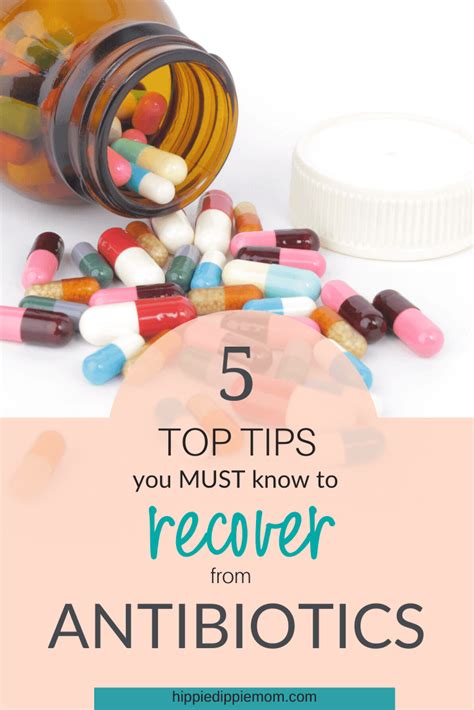 How To Recover From Antibiotics 5 Top Tips In 2020 How To Increase