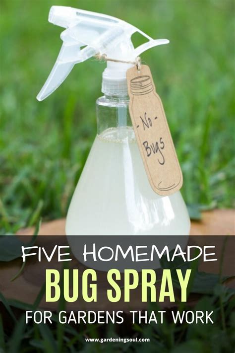 Five Homemade Bug Spray For Gardens That Work Homemade Bug Spray Bug