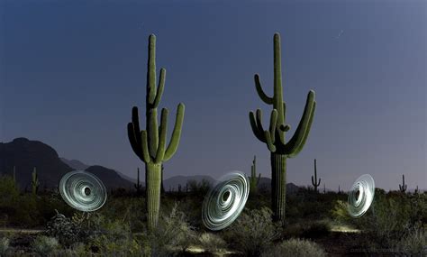 Light Painting And Landscape Photography Saguaro Cactus Organ Pipe