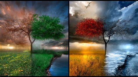 Four Seasons Wallpaper 53 Images