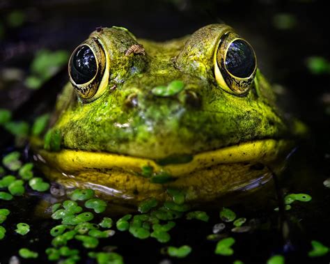 We have been selling educational toys online since 2009 and are trusted by educators from over 20 countries around the world. How to use a polarizing filter | Nikon Rumors