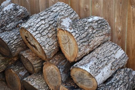 (darfield, glentunnel, hororata, waddington, sheffield, kirwee, dunsandel, rolleston, west melton, burnham, oxford, whitecliffs, coalgate, springfield, castle hill. Free Firewood 5 Stock Photo - FreeImages.com