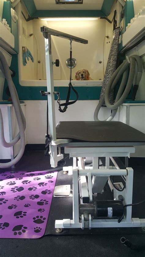 Turn to the proficient pet groomers at clip n' go for all your pet grooming needs. View of inside my van #doggroomingideas. How To Build A ...