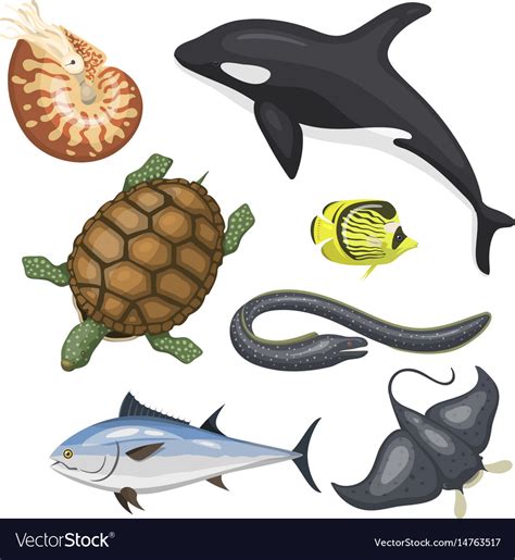 Different Types Of Sea Animals Pictures