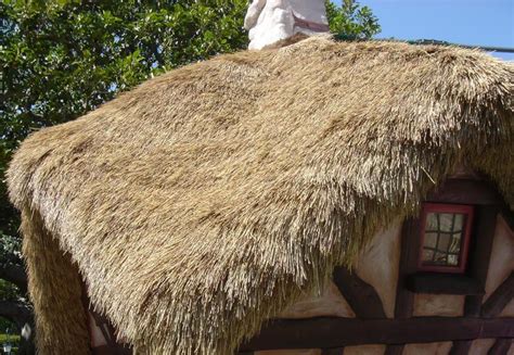 Endureed Products Thatched Roof Thatch Bbq Shed