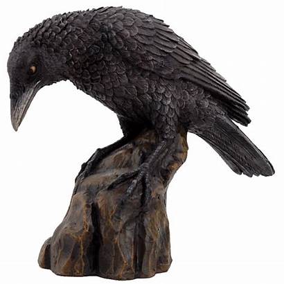Raven Statue Curious Figurine Skeleton Medieval Collectibles