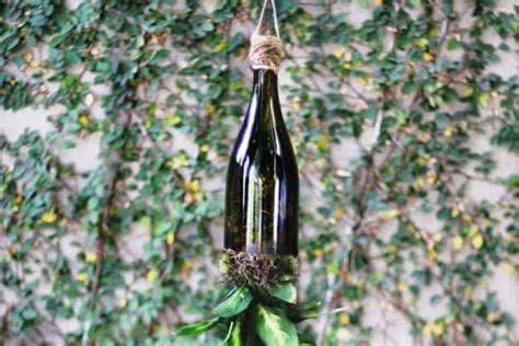 How To Make Wine Bottle Planters 17 Diys And Tutorials
